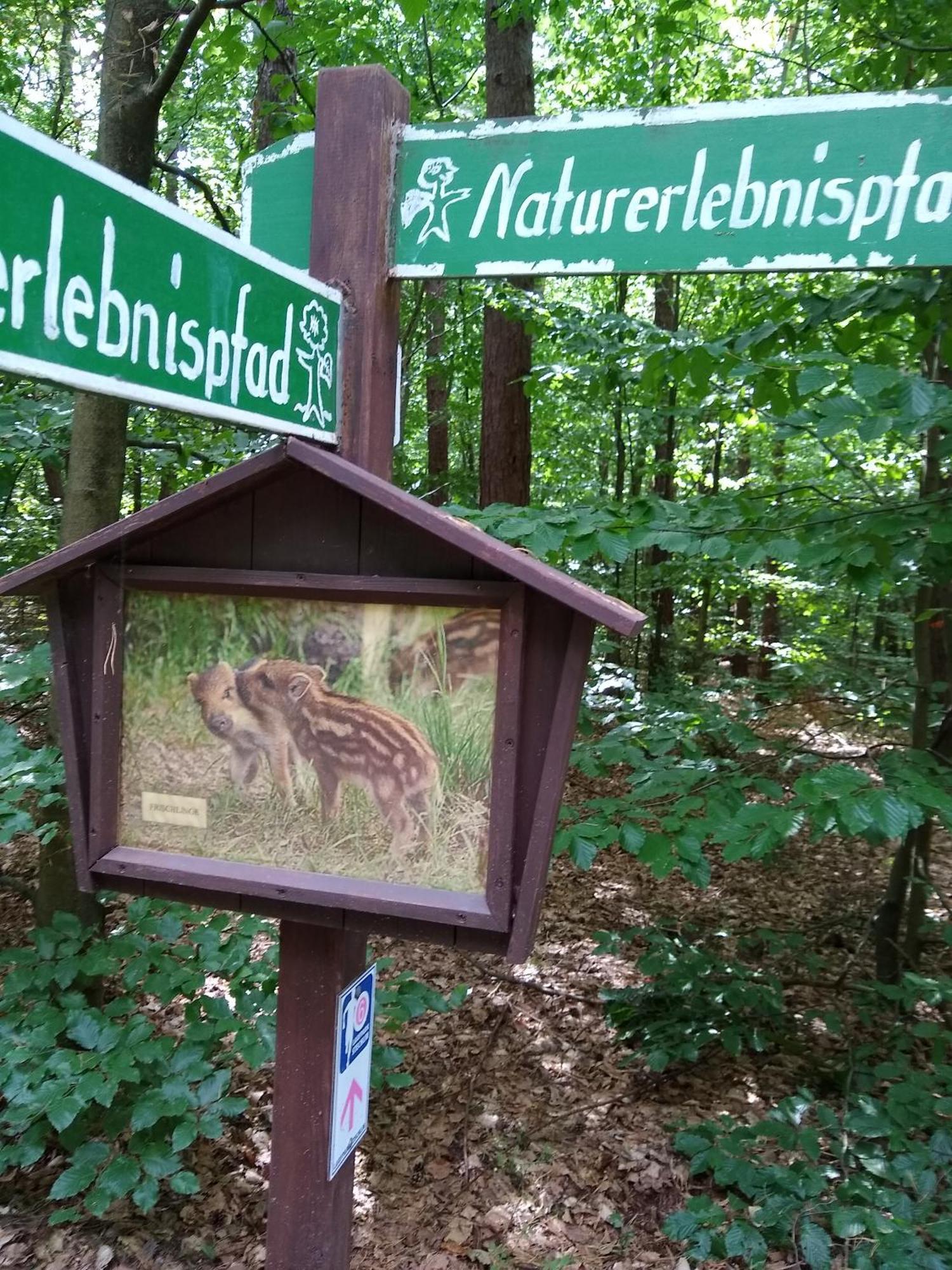 Zwei Seen Ferienhaus Canow Dış mekan fotoğraf